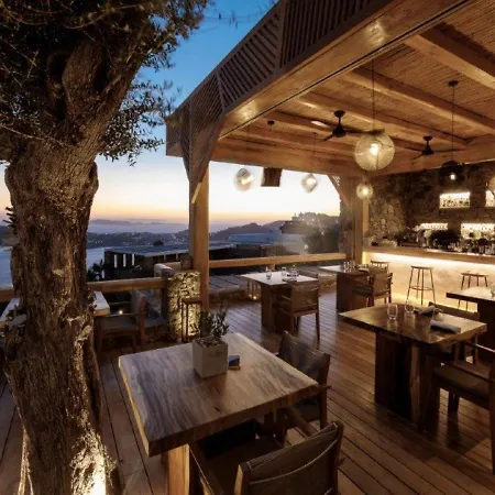 Alissachni Mykonos (adults Only) 호텔 5*