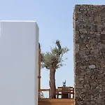 호텔 Alissachni Mykonos (adults Only)
