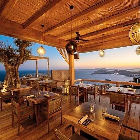 Hotel Alissachni Mykonos (adults Only)