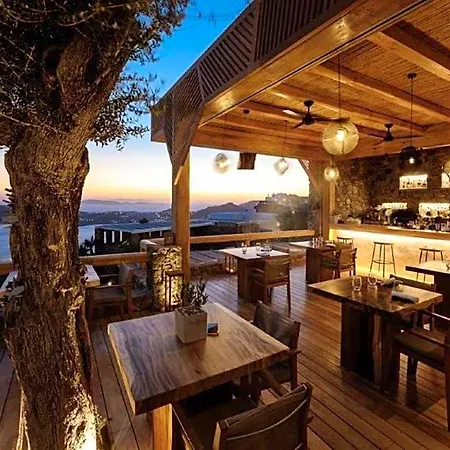 Alissachni Mykonos (adults Only) Psarrou