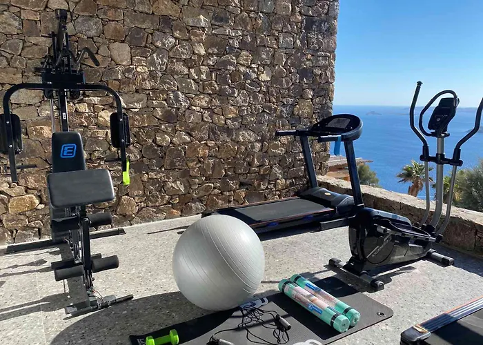 Alissachni Mykonos (adults Only) Hotel Psarrou