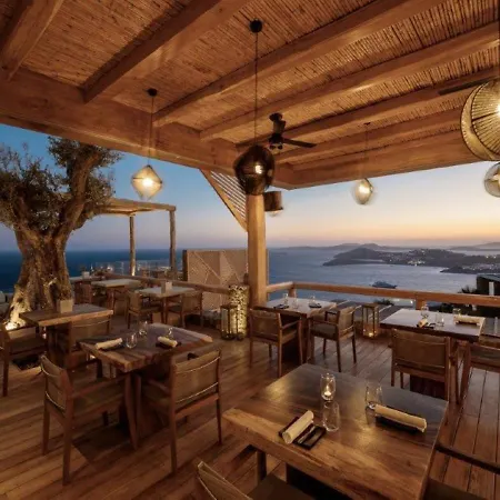Hotel Alissachni Mykonos 5*