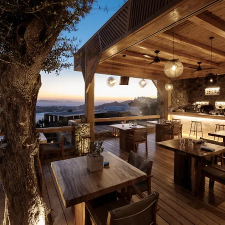 Alissachni Mykonos Hotel 5*