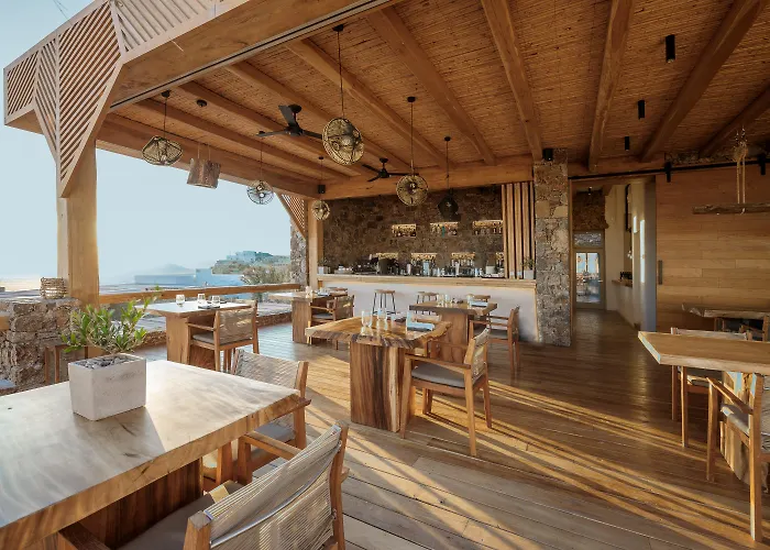 Alissachni Mykonos (adults Only) Otel Psarrou